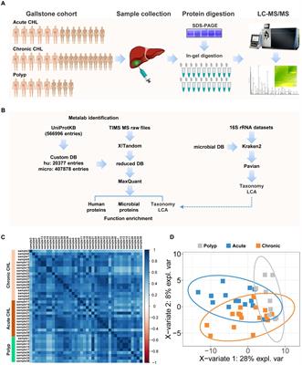 Insight into the mechanism of gallstone disease by proteomic and metaproteomic characterization of human bile